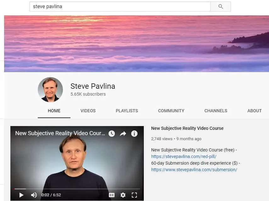 Steve Pavlina'nın kişisel ve markalı kanalı